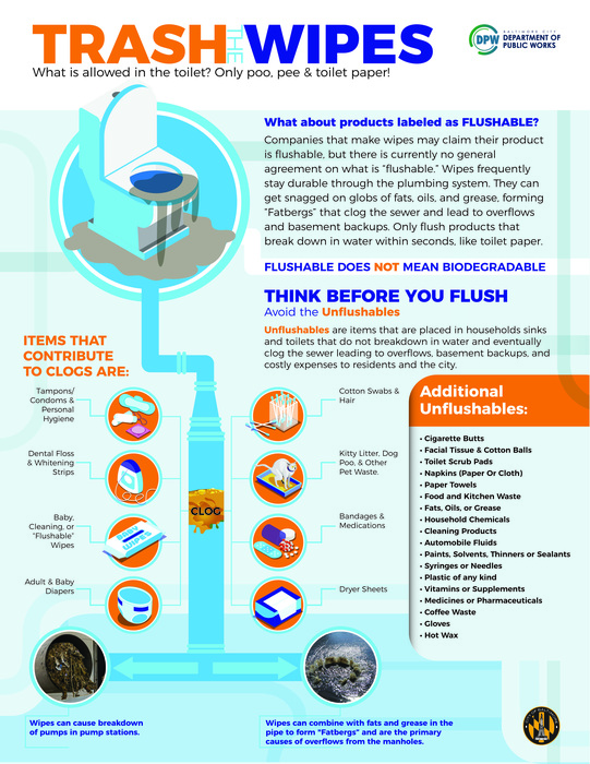 Trash the Wipes chart. Only pee, poop, and toilet paper should go in your toilet!