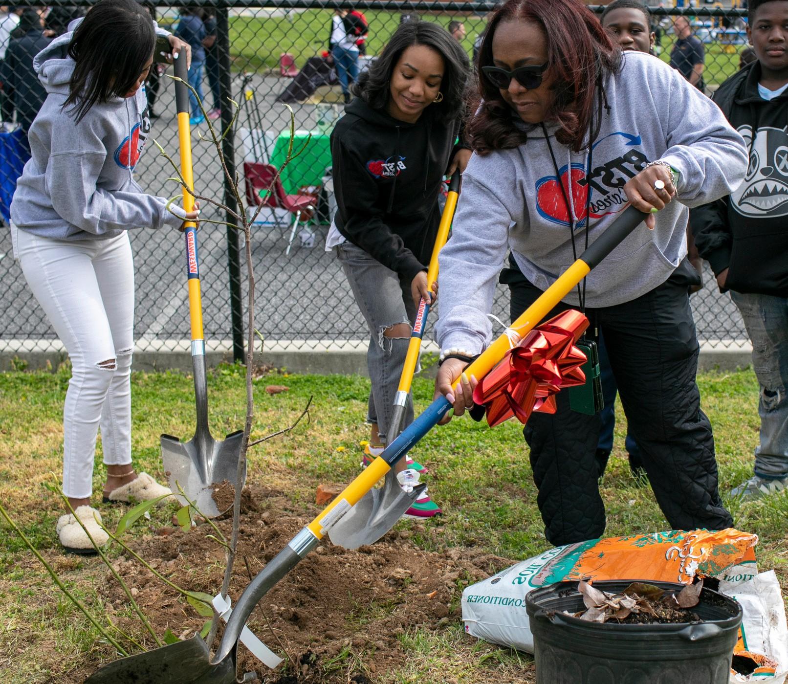 Three women with shovels planting a tree in the ground.
